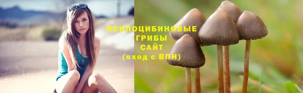 a pvp Медвежьегорск