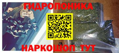 шишки Ливны