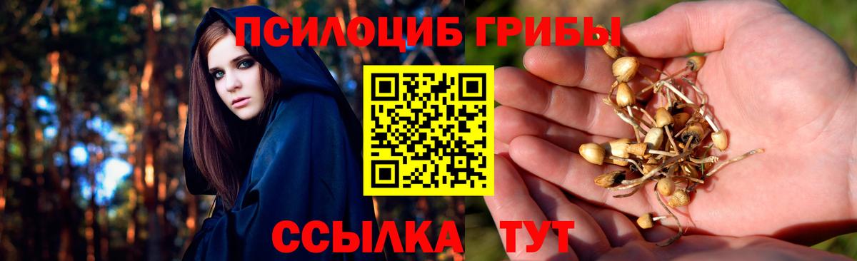 Ноябрьск  Псилоцибиновые грибы мицелий  Псилоцибиновые грибы прущие грибы  Вход с VPN 
